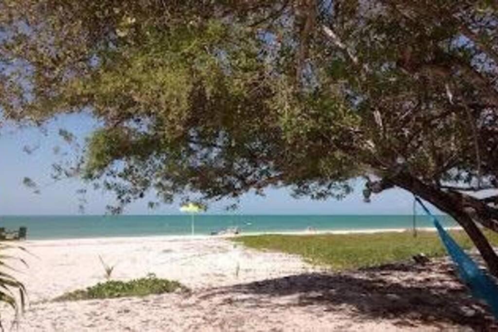 Beachfront Apartment With Swimming Pool. One Bedroom Celestun Exterior foto