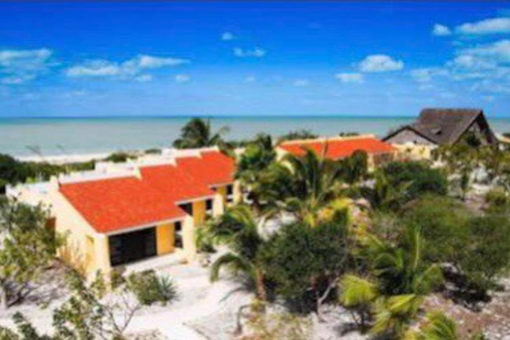 Beachfront Apartment With Swimming Pool. One Bedroom Celestun Exterior foto